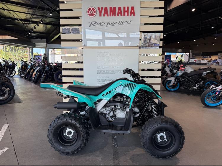 YAMAHA YFM 110 RAPTOR -  YFM110R-25 
