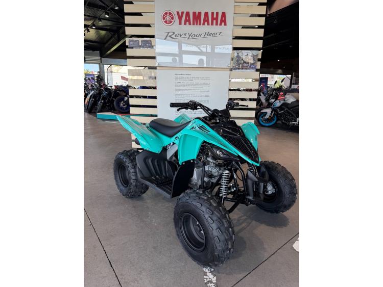 YAMAHA YFM 110 RAPTOR -  YFM110R-25 