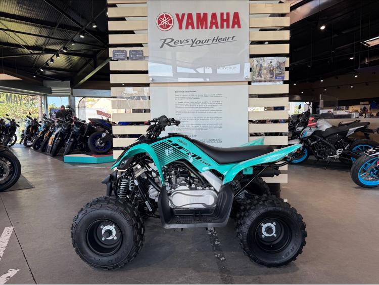 YAMAHA YFM 110 RAPTOR -  YFM110R-25 