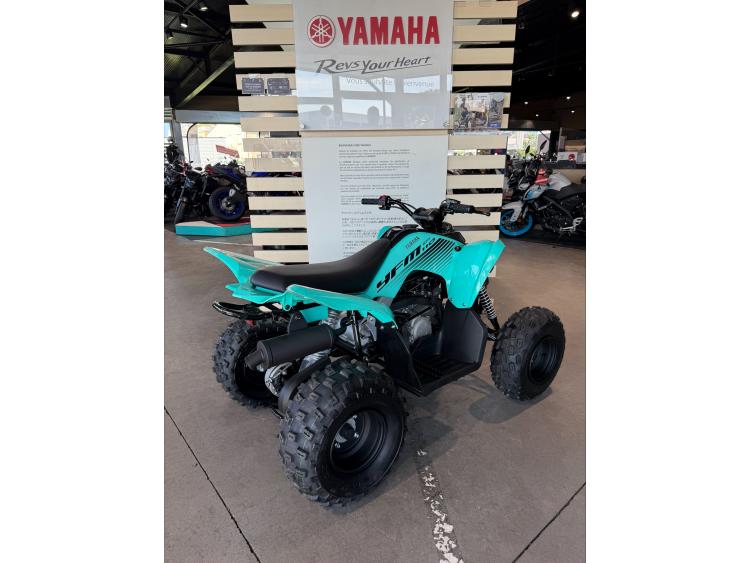 YAMAHA YFM 110 RAPTOR -  YFM110R-25 