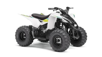 YAMAHA YFZ 50 RAPTOR