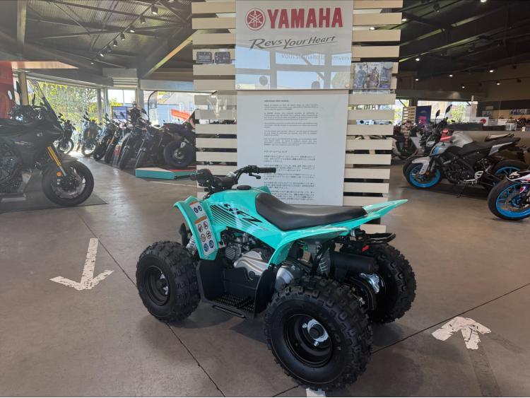 YAMAHA YFM 50 RAPTOR