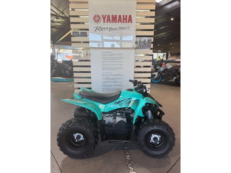 YAMAHA YFM 50 RAPTOR