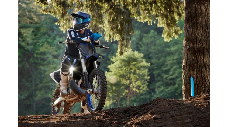 YZ250 Monster Energy (25)