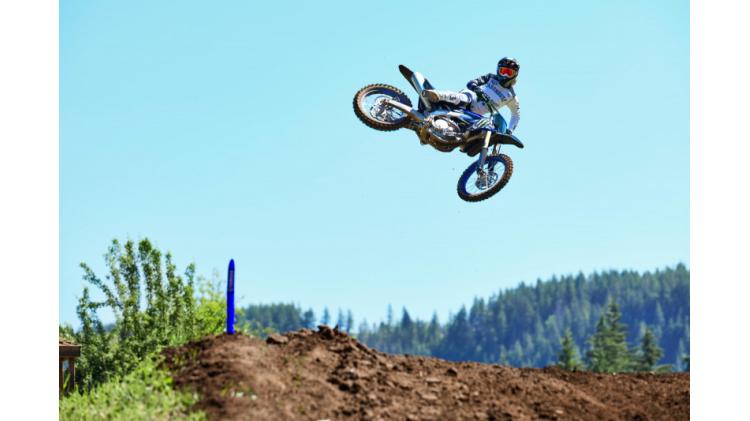 YZ250F Monster Energy (25)