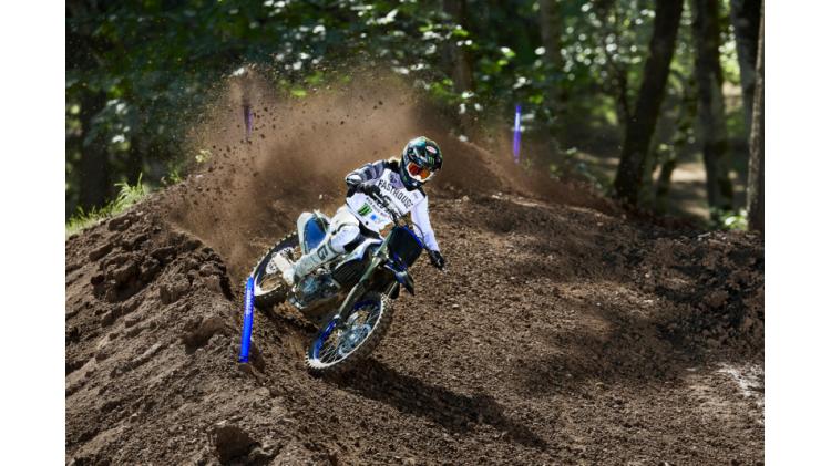YZ250F Monster Energy (25)