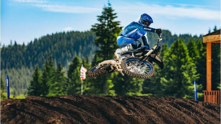 YZ250F Monster Energy (25)