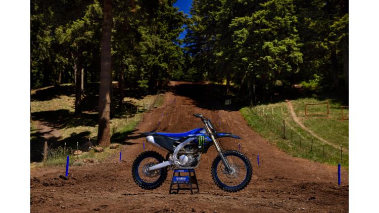 YZ250F Monster Energy (25)